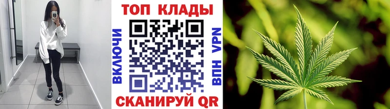 APVP Волгоград