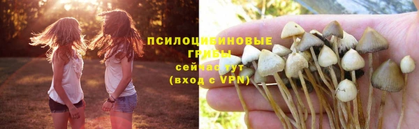 наркотики Елизово