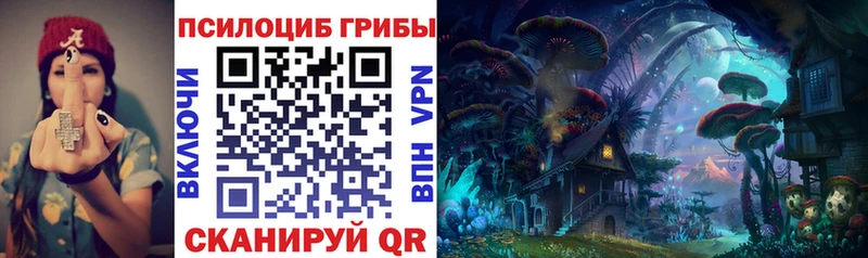 Галлюциногенные грибы Cubensis  как найти   Волгоград 