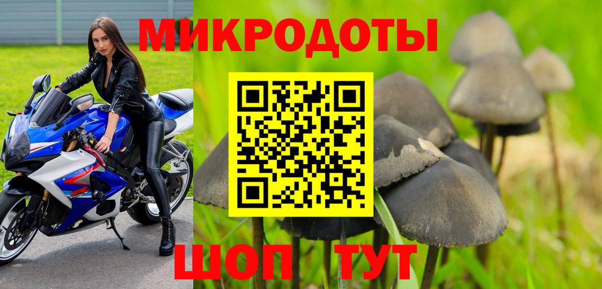 Волгоград  Псилоцибиновые грибы прущие грибы  цена наркотик  Вход с VPN 