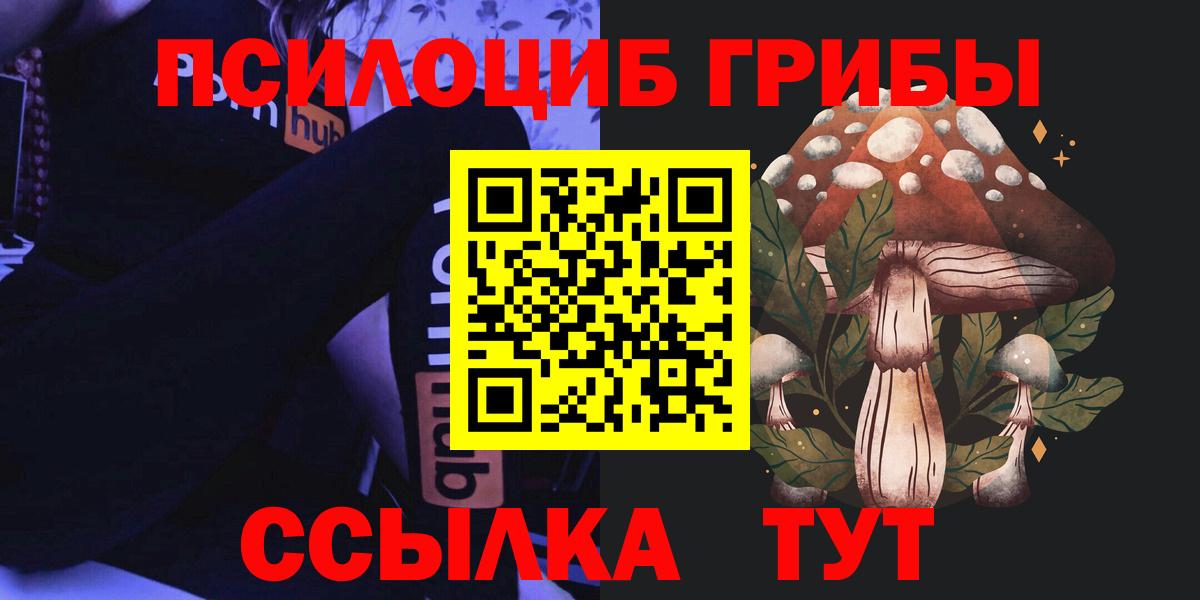 Галлюциногенные грибы прущие грибы  Волгоград  Галлюциногенные грибы MAGIC MUSHROOMS 