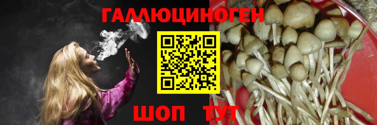 Галлюциногенные грибы прущие грибы Волгоград